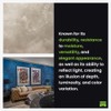 Meoded Paint & Plaster | Stucco Lamundo Venetian Plaster |
