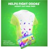 Gain + Odor Defense Dryer Sheets, Super Fresh Blast Scent