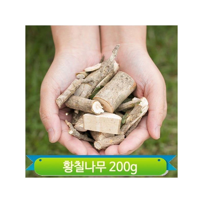 국내산 황칠나무 가지 잎 200g 말린 약재 백숙요리 차 구수한맛