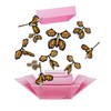 Pink Explosion Butterfly Box with FlutterFlyers - FlutterFlyer Color: Orange