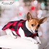Parisian Pet Dog Dress - Red Checkered Dog Clothes -