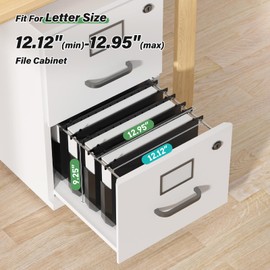 Ansook Extra Capacity Plastic Hanging File Folders,2" Expanding Accordian Pocket with Black Insert Gasket,Heavy Duty for Filing Cabinet, Hard and Durable Hang Folders, Black,Letter Size - 12 Pack