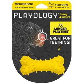Playology - Juguete de hueso de dentición para perros jóvenes y activos | Juguete masticable aromatizado de pollo natural de tamaño pequeño con chirriador para cachorros de hasta 25 libras