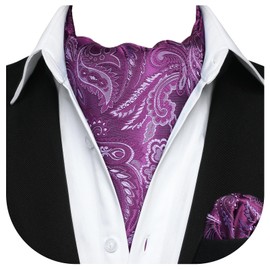HISDERN Purple Cravat for Men Paisley Floral Cravats and Pocket Square Set Wedding Party Business Ascot Tie and Handkerchief set