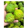 100+ Kaffir Lime Seeds, มะกรูด