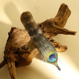 SendyFeather Hat Feathers 10 Styles Natural Assorted Feathers for Fedora Hats Accessories DIY Craft,Western Cowboy Hats,Christmas Party Hats,Oktoberfest Hats