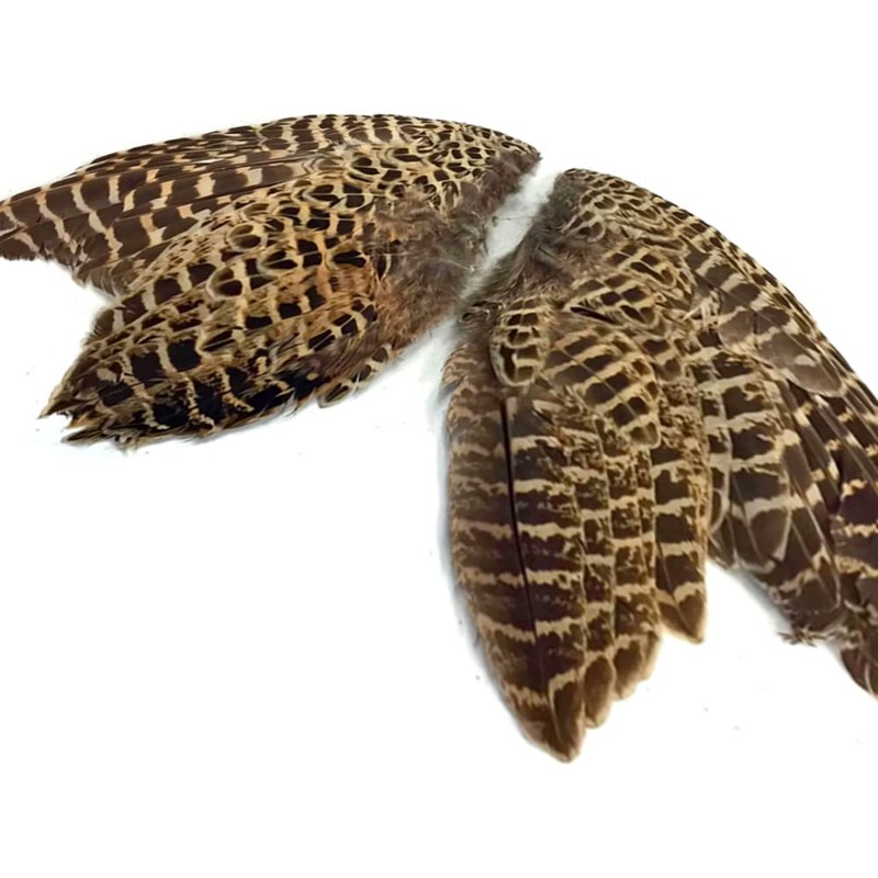 1 Pair - Natural Ringneck Pheasant Hen Whole Wing Feather