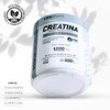 MDN SPORTS Creatina Monohidratada 100% | Pura 500g | 100
