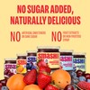 Smash Foods Jam Try Them All Variety Pack| Low-Calorie, No