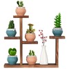 COOGOU Wooden Tabletop Plant Stand - 5 Tier Succulent Plant