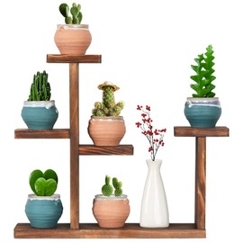 COOGOU Wooden Tabletop Plant Stand - 5 Tier Succulent Plant Holder Decorative Planter Holder, Small Desktop Flower Pot Rack Shelf for Decoration Living Room Home Office Windowsill