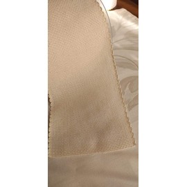 NASTRIFICIO ROSSI SAS Canvas Ribbon Aida Cross Stitch Tulipano (103 mm, Greggio)