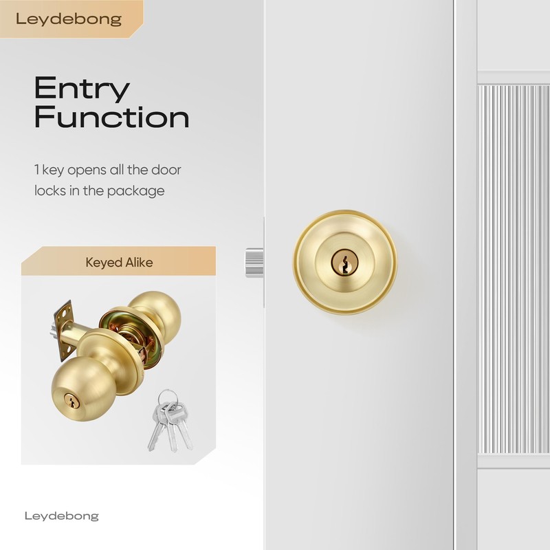 Leydebong 10 Pack Keyed Alike Door Knobs, Gold Door Knobs