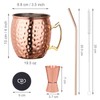 LIVEHITOP Moscow Mule Copper Mugs Set of 2, 19.5 Oz