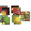Softball Collection 2 12x12 Scrapbook Papers and Stickers Set