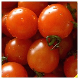 Everwilde Farms - 100 Small Red Cherry Tomato Seeds - Gold Vault Jumbo Seed Packet