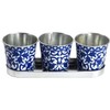 Fallen Fruits Decorative POTS ON Tray, Ideal for Herbs, Metal,