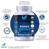 Hongo Maitake Orgánico Con 120 Cápsulas Saisa Herbal