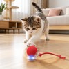 Interactive Rolling Ball Cat Toy for Playtime – Smart Automatic