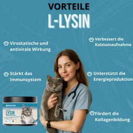 Lysine - 300g L-Lysine Powder - Fish Flavour - Strengthens the Immune System, Prevention of Herpes Felino - Suitable for Young and Older Cats