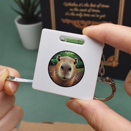 'Smiling Capybara' Keyring Tape Measure/Spirit Level Tool (KM00041689)