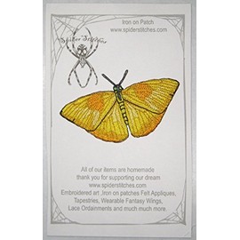 Parche de mariposa de azufre con bandas amarillas Papilio astyalus