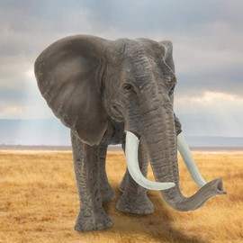 Animal Figure, Elephant, Toy, Elephant Model, Animal, Lifelike Safe, Non-toxic, Educational Toy, Early Education, Kindergarten, Teaching Tool, Birthday, Celebration, Gift, Gift, Photographic Tool,