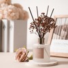 Cocorrína Reed Diffuser Sets- Satin Rose Scented Diffuser with Sticks