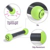 Zumba Toning Sticks 1 lb Weights Set of 2, 1