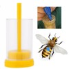 5Pcs Queen Bee Marking Bottle Catcher Cage Tube Lightweight Plastic