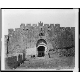 HistoricalFindings Photo: Saint Stephen's gate,City Walls,Stone Structures,Arches,entrances,Jerusalem,1860