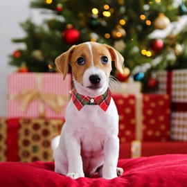 ADOGGYGO Christmas Dog Collar with Bow Tie, Adjustable Xmas Pet Shirt Collars, Red Green Plaid Puppy Christmas Collars for Small Medium Large Dogs (Small)