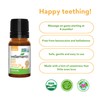 Baby, Tooth Oil, 0.5 fl oz (15 ml) - Wellements
