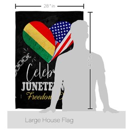 Americana Home & Garden Jubilee Day House Flag Eagle Set Patriotic Historic July Memorial Veteran Independence United State American Decoration Banner Small Garden Yard Gift Double-Sided, Made in USA