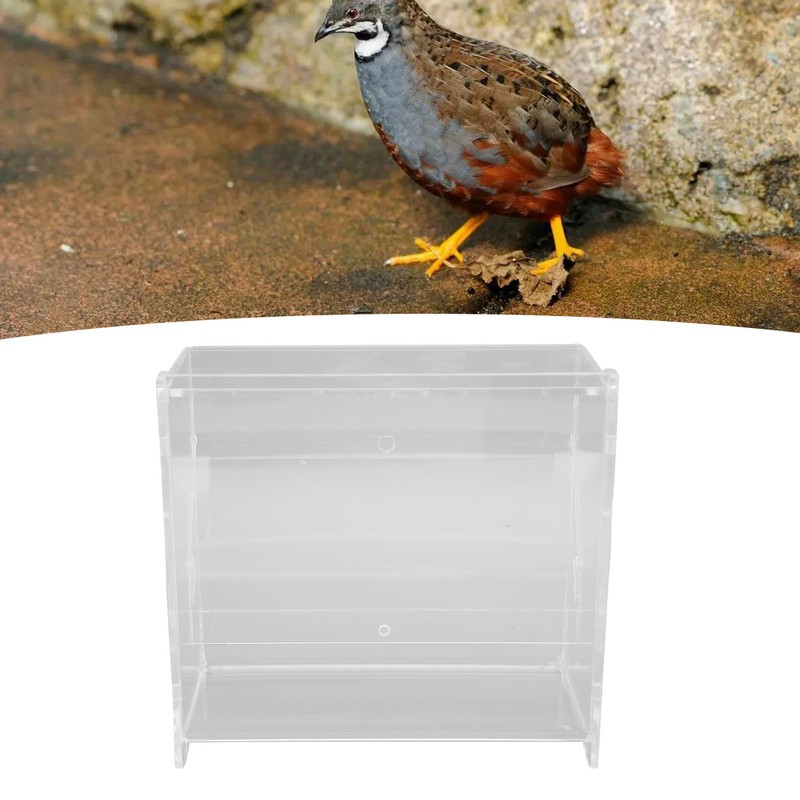 Rutin Chicken Feeder Automatic Clear Acrylic Bird Cage Feeder for