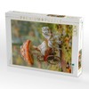 CALVENDO Puzzle Miniature Worlds | Size