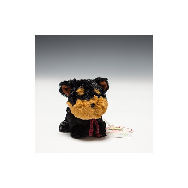 Candy Fontaine Yorkshire Terrier