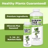 TPS NUTRIENTS Banana Tree Fertilizer for All Banana Tree Plants,
