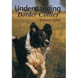 Understanding Border Collies