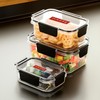 HAZEL Plastic Rectangle Airtight Leak Proof Microwave Safe Container Dabba,