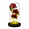 Glass Dome Rose Ornament LED Strip Light Blessing Romantic Glass