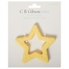 C.R. Gibson 100% Food Grade Silicone Star Baby Teether for