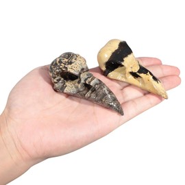 mookaitedecor Natural Grass Flower Jasper Crystal Stone Raven Skull Ornament Cool Gothic Room Decor, Collectible Crow Skull Figurine Crystal Skull Statue Crow Head Ornament Stone Raven Gift 76-82mm