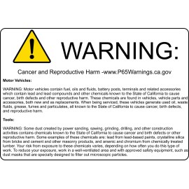 Race Sport RS-31MM-W-5050 31 mm 5050 LED 6 Chip Bulbs, White