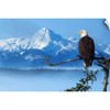 Bald Eagle Perched On Spruce Branch Wall Decal, Eagle Artwork