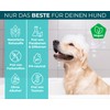 The Home Pet Lab The Home Pet Lab Dog Shampoo