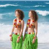 PIXHOTUL Grass Hula Skirt and Hibiscus Leis Set Hawaiian Costumes