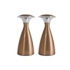 LIGHT IT! by Fulcrum, 24415-130 Lanterna Lux, Satin Nickel, 2 Pack