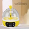 Mini Egg Incubator, Transparent Lid Design, Small Poultry Incubator, High