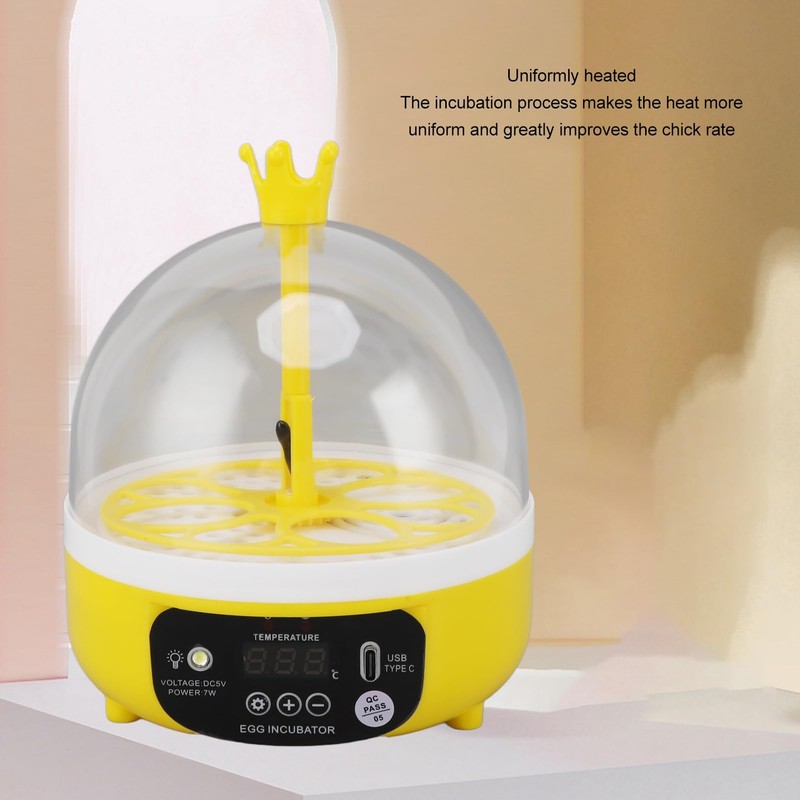 Mini Egg Incubator, Transparent Lid Design, Small Poultry Incubator, High